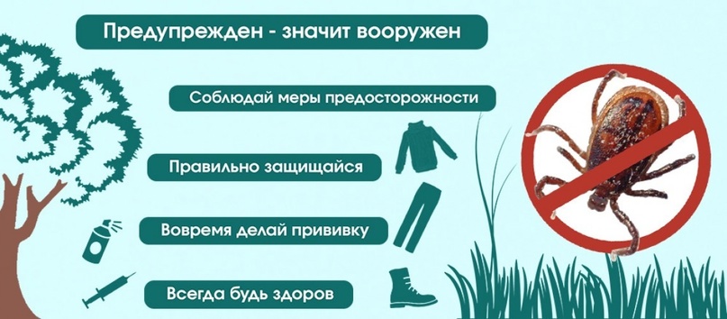 Меры предосторожности от клещей